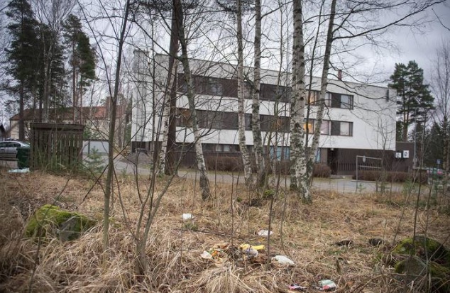 Säynätsalo pusikkoa.jpg