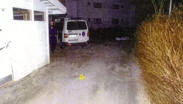 Vuosaari pihasurma.jpg