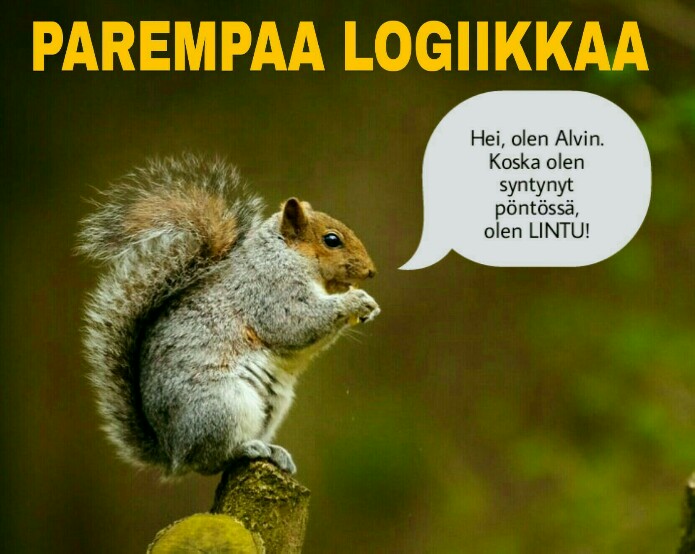 orava.jpg
