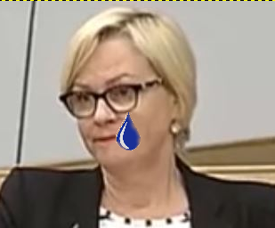 kyynel-bidee.png