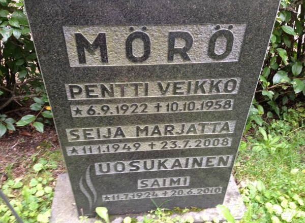 Seija Mörö kivi.jpg