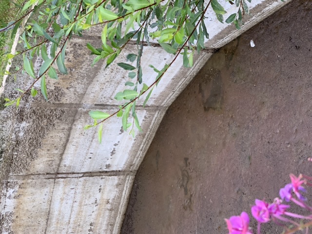 6BD979A6-2FAA-4853-BC33-CAC20F7898F8.jpeg
