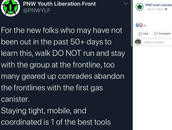 YLFpdx.jpg
