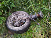 IMG-20200802-201144-1.jpg