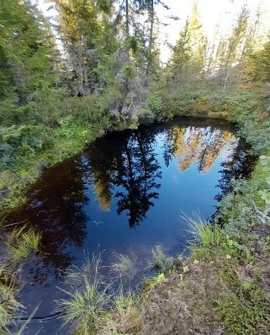 20200805_182252.jpg