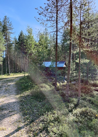 vaja3.jpg