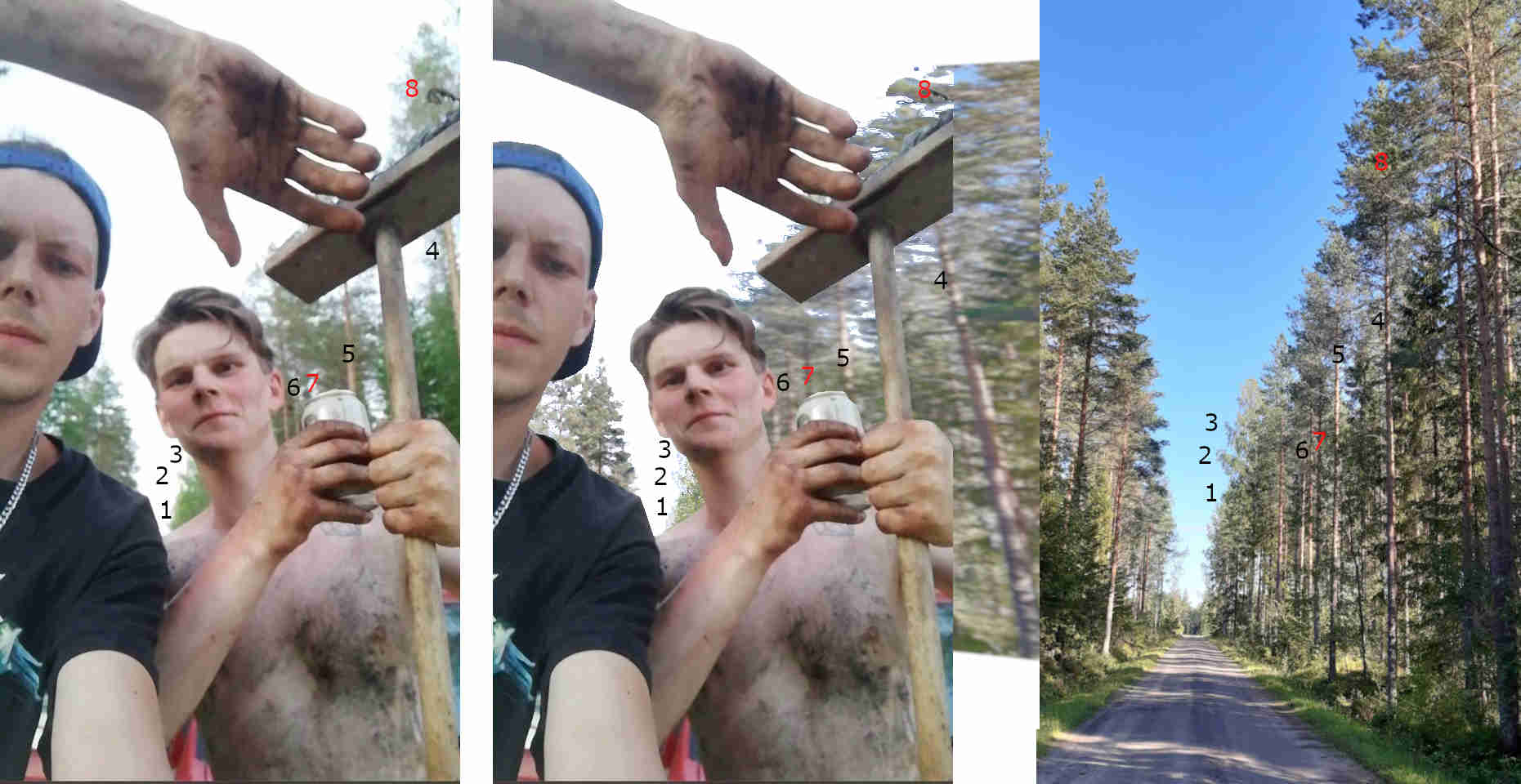 kaustinen_vertailu.jpg