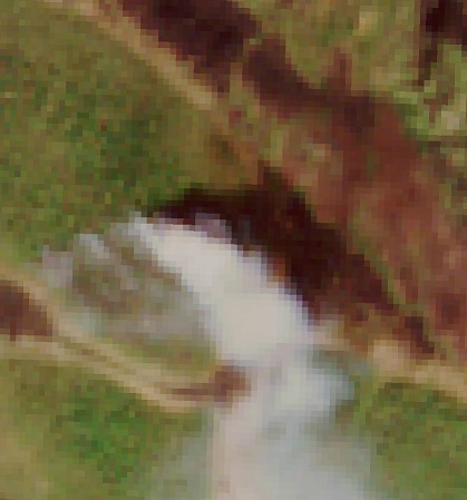 savu2.jpg