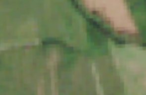 20200827_120209.jpg