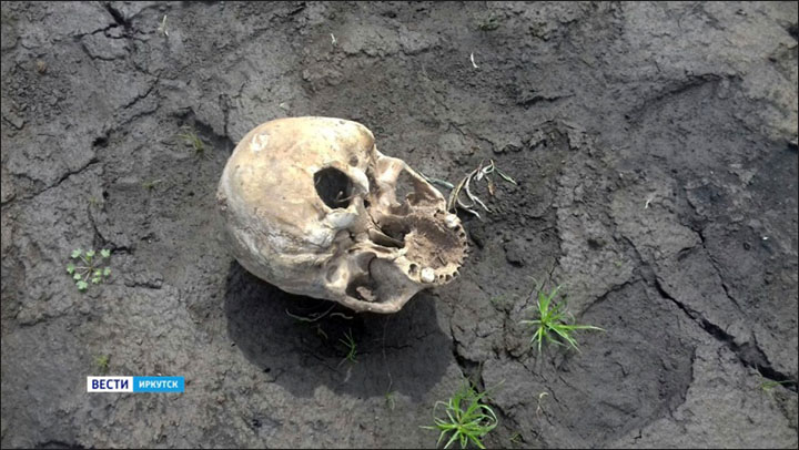 inside_scull.jpg