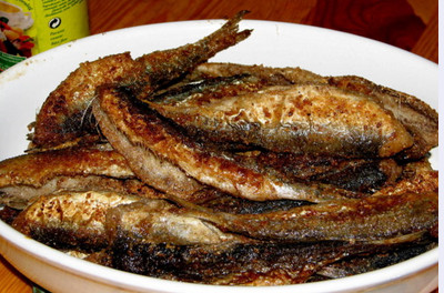 Silakat paistuu.