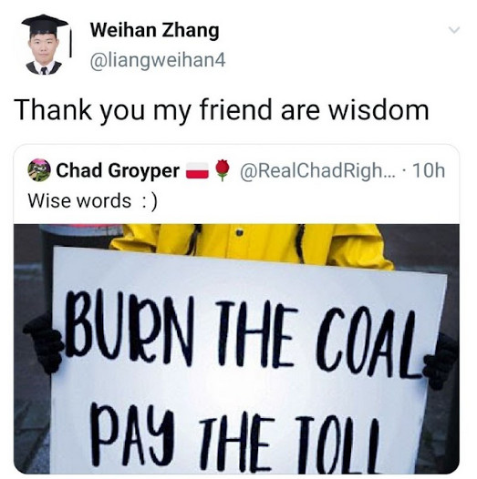 burn the coal pay the toll.jpeg