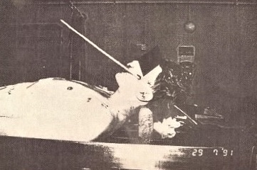Rano uhri.jpg