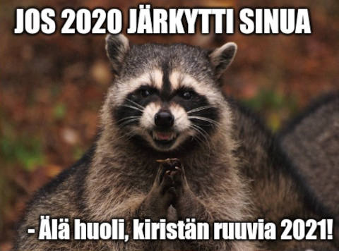 EVIL_RACCOON.jpg