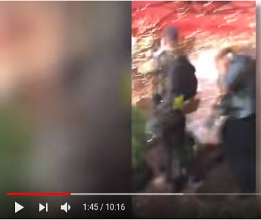 blm heitteli esineitä ja jopa räjähteitä ruokailijoiden sekaan pääkaupunki DCssä.jpg