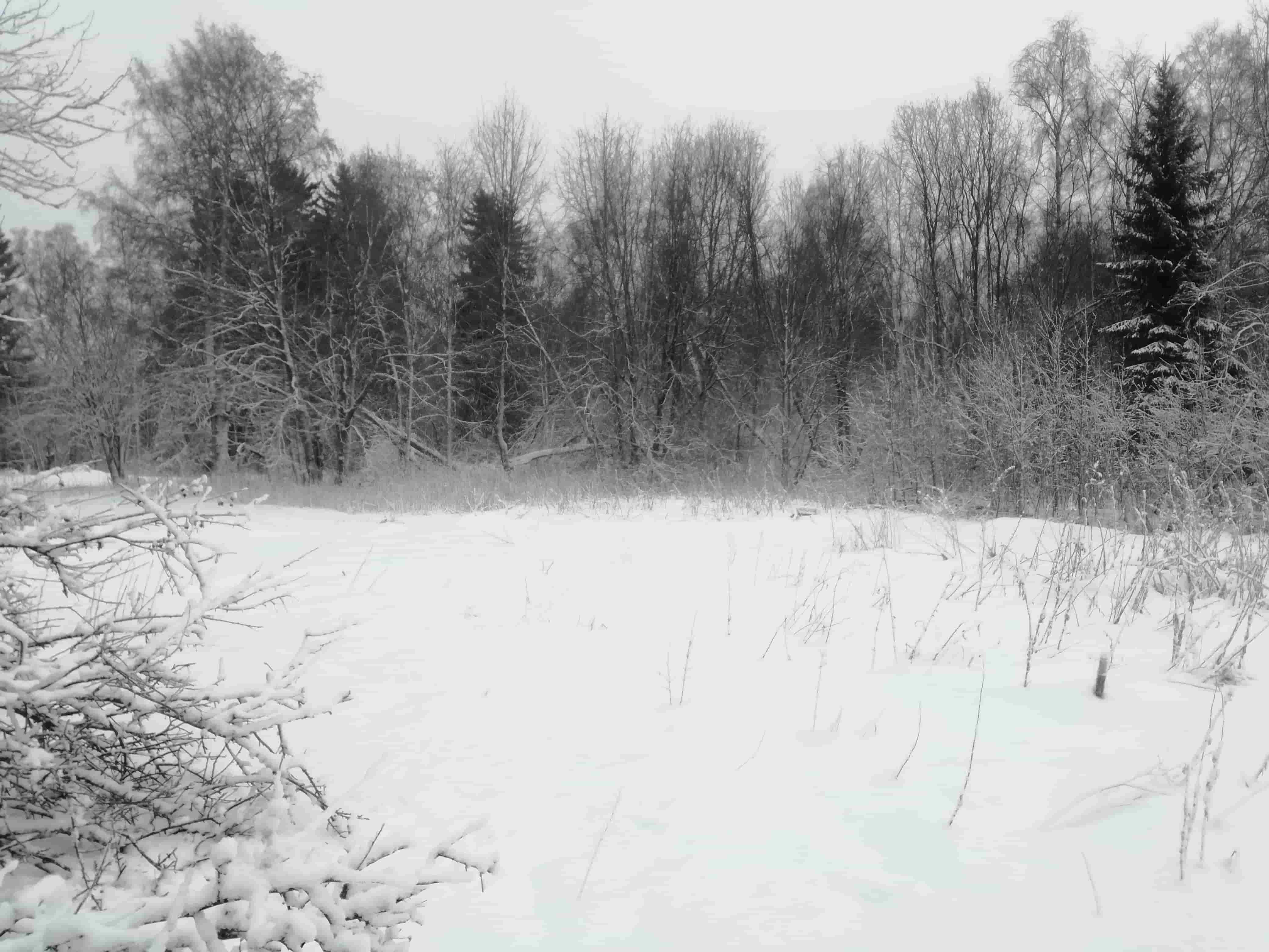 IMG_20201127_131030-min.jpg
