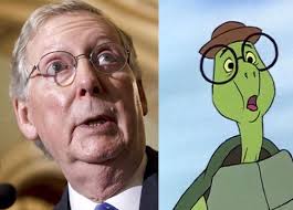 Mitch on yhtä kova taistelemaan kuin kilppari selällään.jpeg