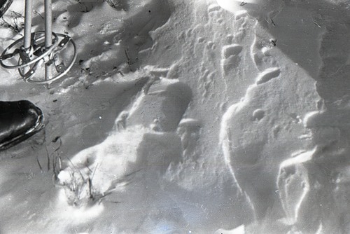 Dyatlov-pass-steps-04.jpg