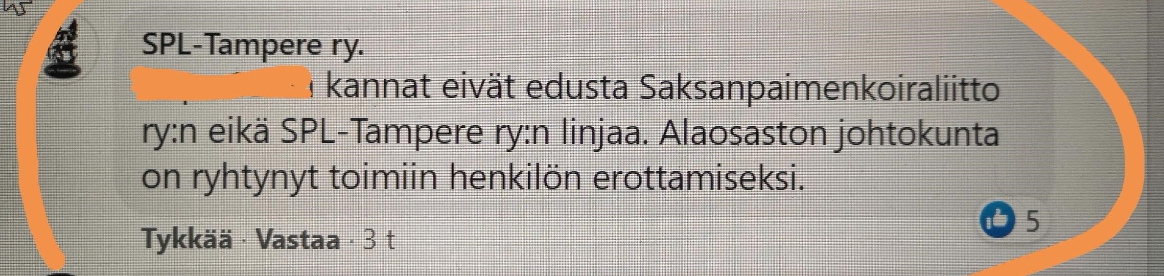 spltre2.3.jpg