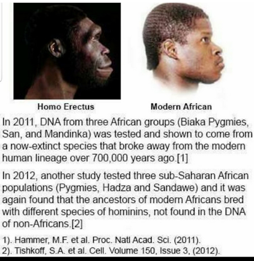DNA.jpeg