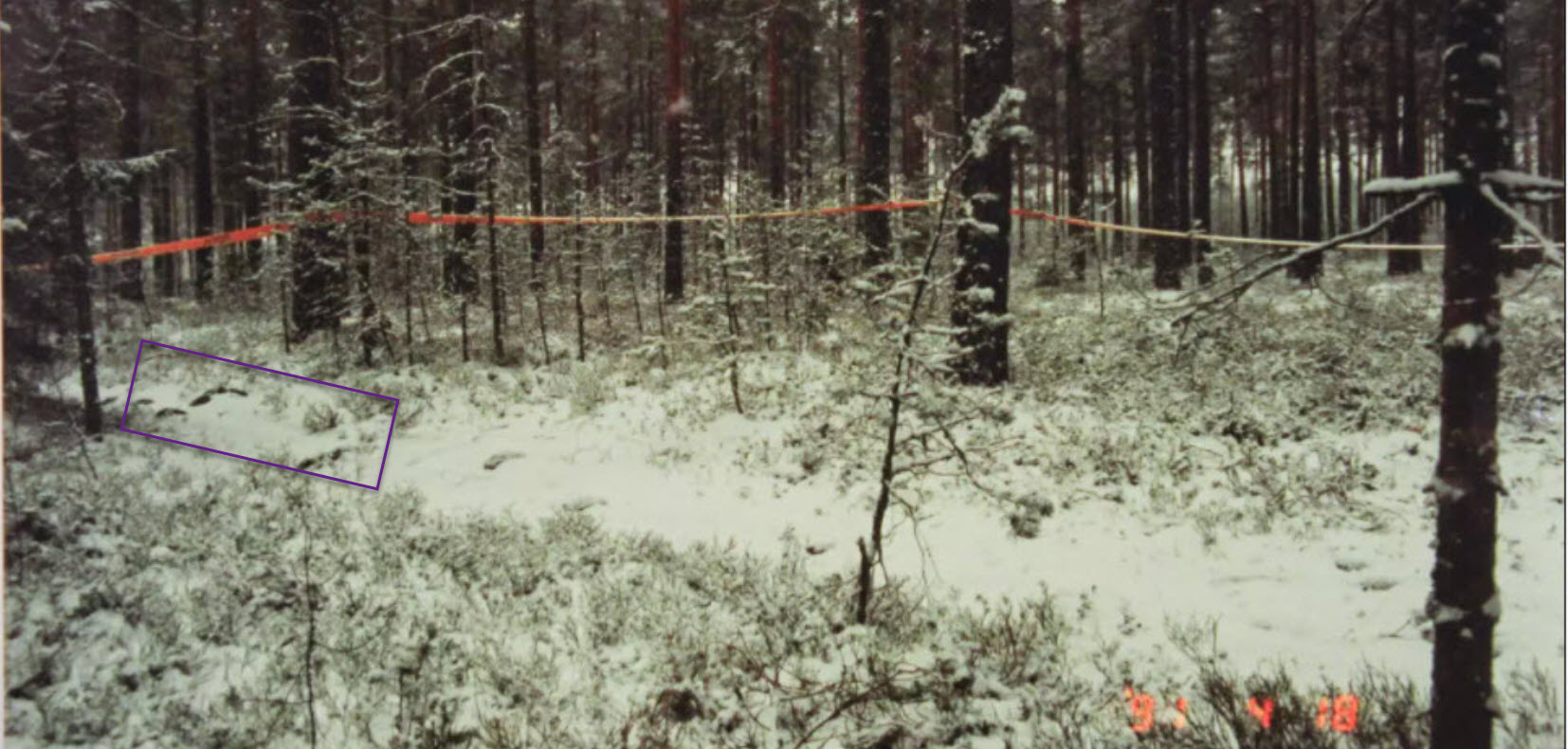 polunkivet2.jpg