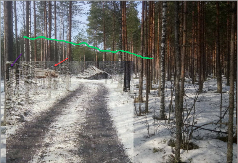 rungothikiäntiellä.jpg
