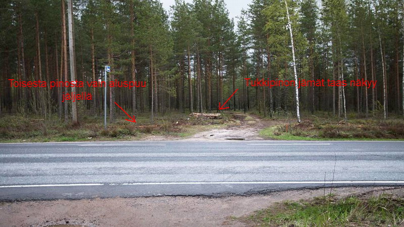 Mystiset tukit.jpg