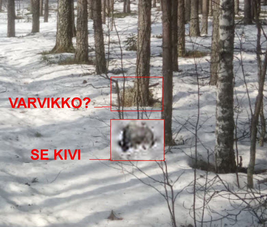 suurennos_B_1.jpg
