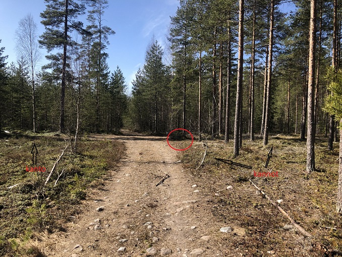 risteys yleiskuva muokattu3.jpg