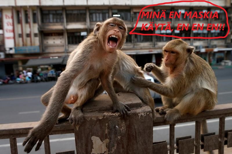 sika_apinaa.jpg