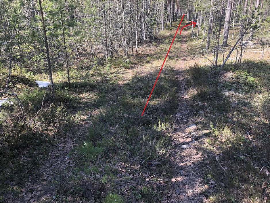 ura pietilä1.jpg