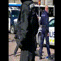poliisin huippuhetki.gif