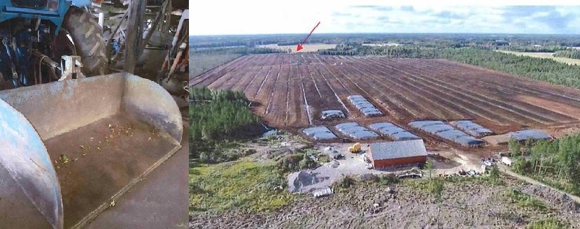 Tällä kauhalla aviomies kuljetti Ruohosen ruumiin turvesuolle. Punaisella nuolella on merkitty Isorahkan turvesuolta kohta, josta Sini Ruohosen ruumis löytyi. Kuvat Lounais-Suomen poliisi.