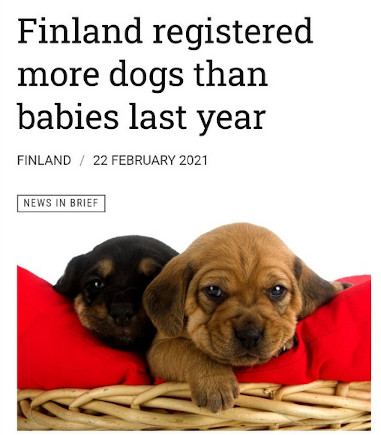Enemmän koiria, kuin lapsia.