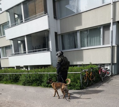 Kuva kiinniottoprojektista Helsingin Myllypurosta.jpg