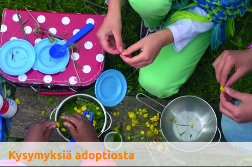Todellakin - suuria kysymyksiä adoptiosta....jpg
