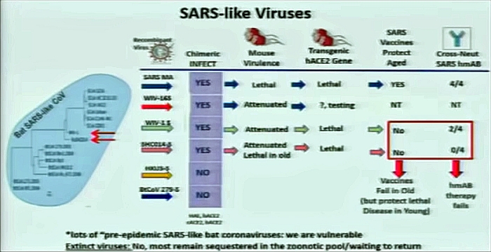 Baric_SARS-like Viruses.jpg