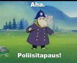Poliisitapaus.jpg