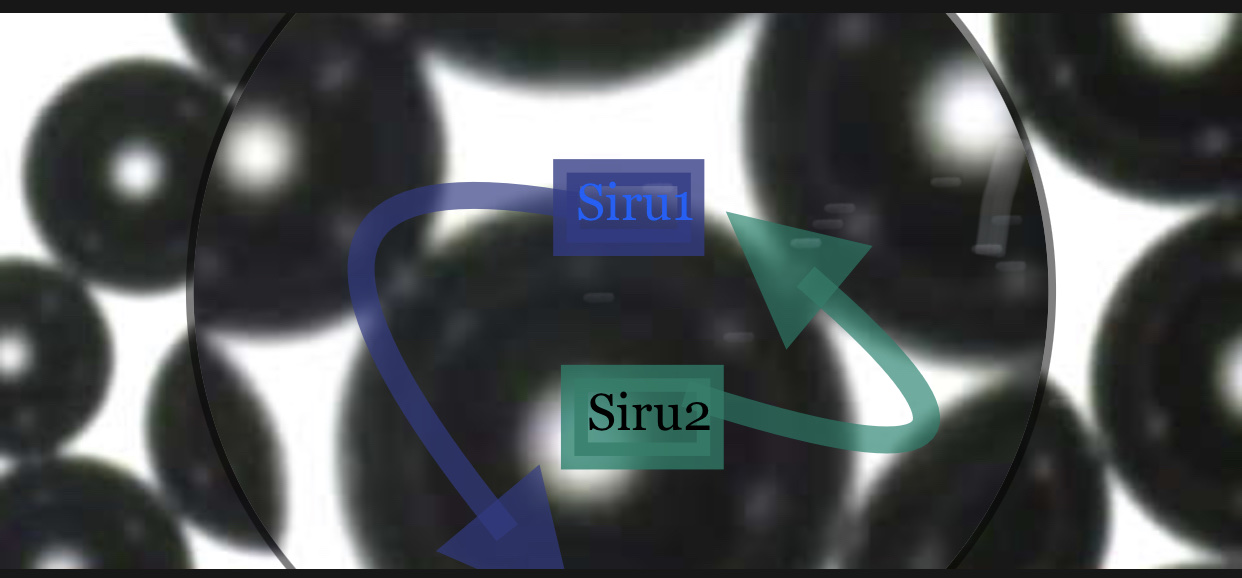 C04D782F-CB3A-47DF-B721-F9C4535D5EAA.jpeg