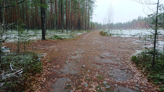 Polku pienelle hiekkakuopalle lähtee tuosta risteyksestä vasemmalle