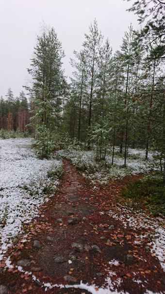 Polku joka haarautuu Hikiäntien ja Kuruntien väliseltä metsäautotieltä (toiselta puolelta metsäautietä haarautuu polku pienelle hiekkakuopalle)