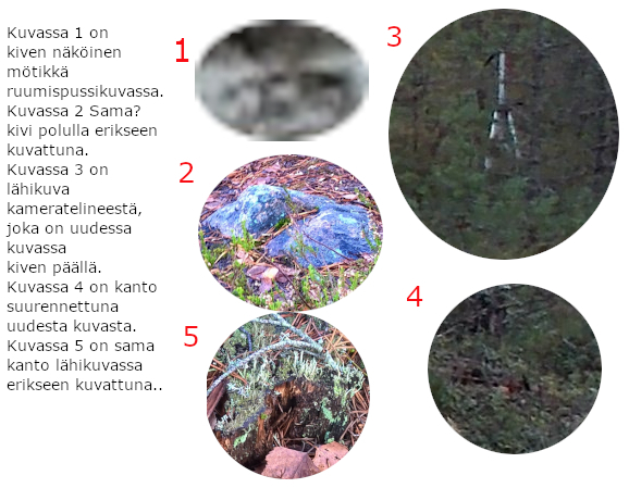 Lähikuvat.jpg