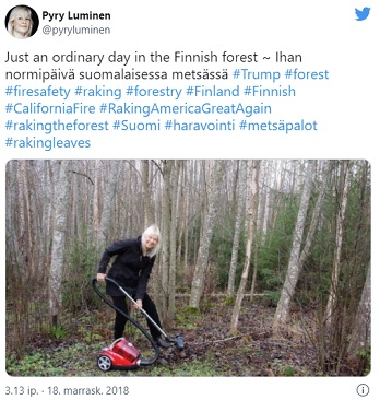 hönö_ja_imuri.jpg
