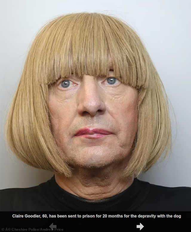 Tuomittu lasten JA koiranraiskaaja.