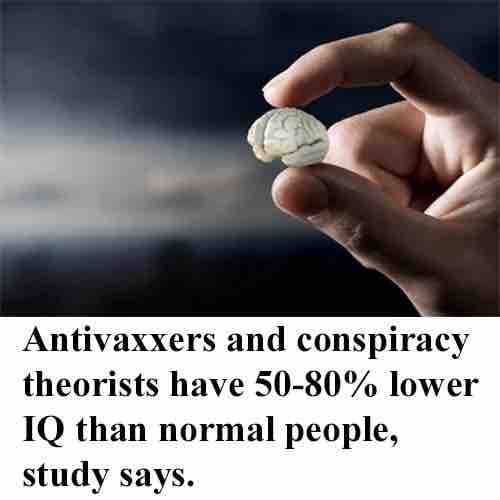 Antivaxxerin aivot