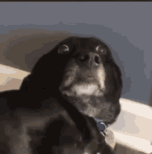 A1A04CCA-CA84-4F26-A74A-FEDE3AF2B25F.gif