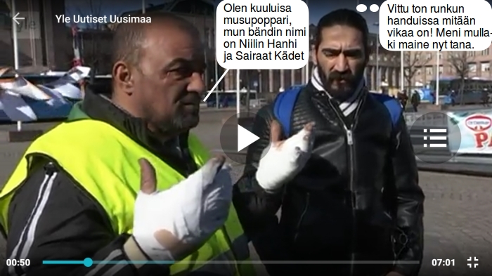 Kaikki käteni on palanneet - Niilin Hanhi ja Sairaat kädet.jpg