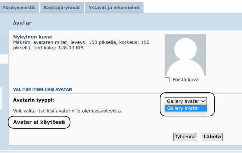 Kuvakaappaus avatar-ikkunasta.