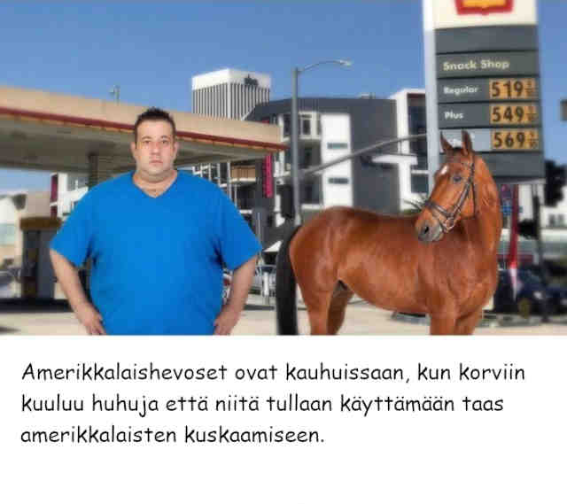 eletään hevoisten kauhunhetkiä.jpg