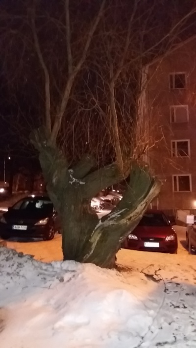Oletan, että jollain voi mennä alkukesä uusia harrastuksia etsiessä, olisikojan muualla kivempi asustaakin jopa, koska kuulemani "kuntouttajan kanssa moni ei ala leikkimään.
